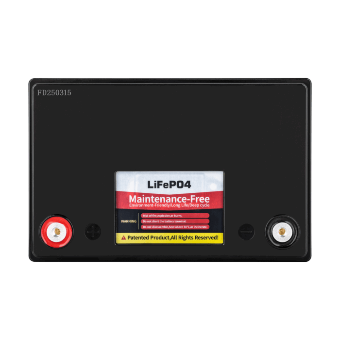 Акумулятор LiFePO4 Vipow BAT0496 100Ah з BMS - Зображення 2