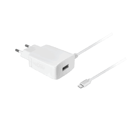 Зарядний пристрій з кабелем Type-C GSM0982.1 2100 мА