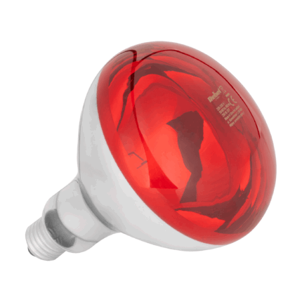 Інфрачервона лампа Rebel ZAR0584 R125