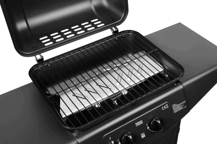 Газовий гриль Teesa TSA0080 BBQ 2000 - 2 конфорки - Зображення 4